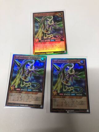 Seed Crotron Brasserne Set of 3