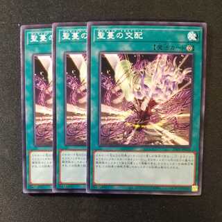 聖蔓の交配 ノーマル