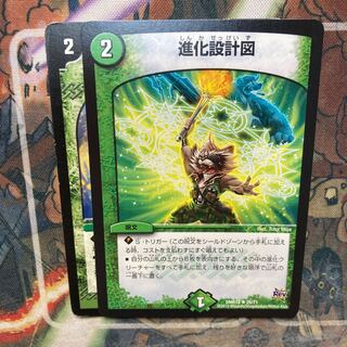 進化設計図　2枚セット