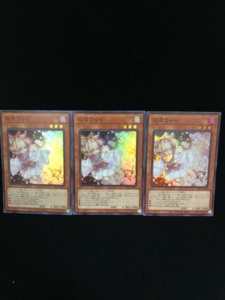 Ash Blossom & Joyous Spring Super Rare 3-card set