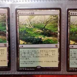 ★ニオ様専用★吹きさらしの荒野　2枚セット