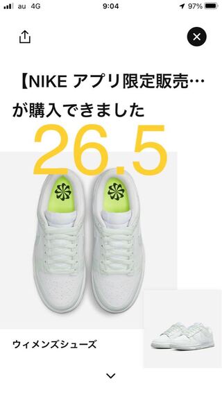 Nike Women's Dunk Next Nature HoWight/Mint 26.5cm