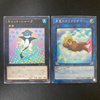 Cat Shark Normal, Some Summer Summoner