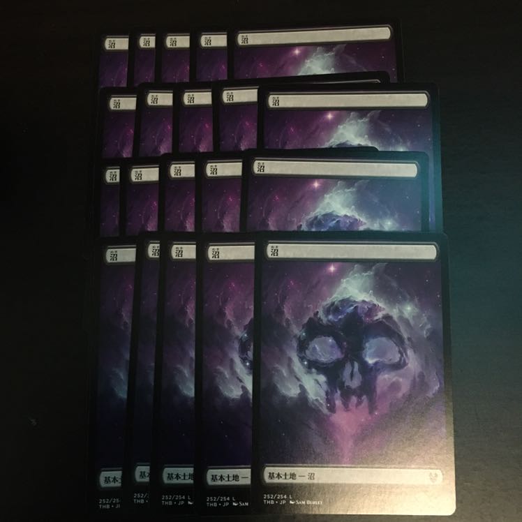 テーロス　土地　沼　20枚