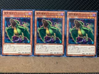 【ぽぽたん】遊戯王 1603 捕食植物プテロペンテス 3枚 ノーマル