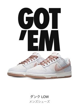 Nike Dunk Fossil Rose Rose Dunk 28.5 28.5cm