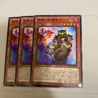 熟練の栗魔導士 ノーマル　３枚