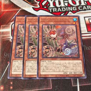 Floowandereeze & Robina Rare 3 copies