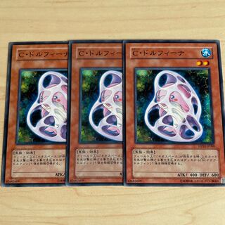 C・ドルフィーナ♧929