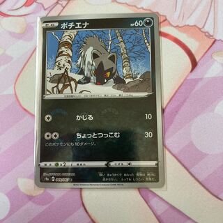 Poochyena (mirror) C