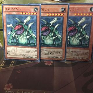 アンコウ ギガプラント 3枚