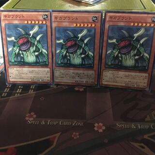 アンコウ ギガプラント 3枚傷