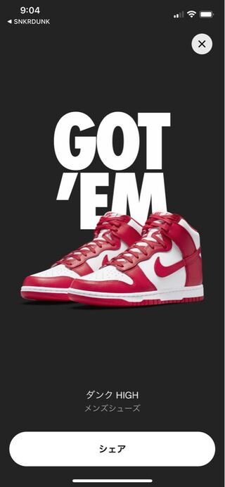 Nike Dunk High Championship Red 27cm