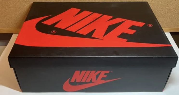 NIKE SB AIRJORDAN1 HIGH☆NYC TO PARIS☆ 28cm