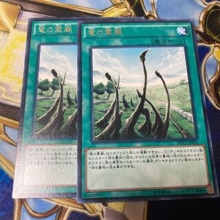 値下げ　竜の霊廟 レア JP031