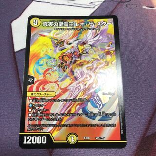 真実の聖霊王レオザスター