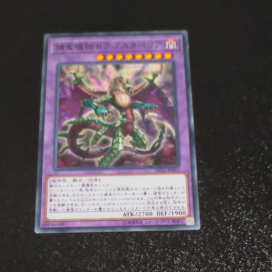 Predaplant Dragostapelia✕2 Normal [Korindo].