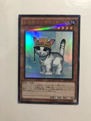 20AP-JP061 Rescue Cat