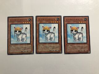 EE3-JP153 Rescue Cat 3 copies