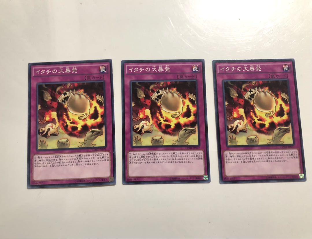 CORE-JP077 Ferret Flames 3 copies