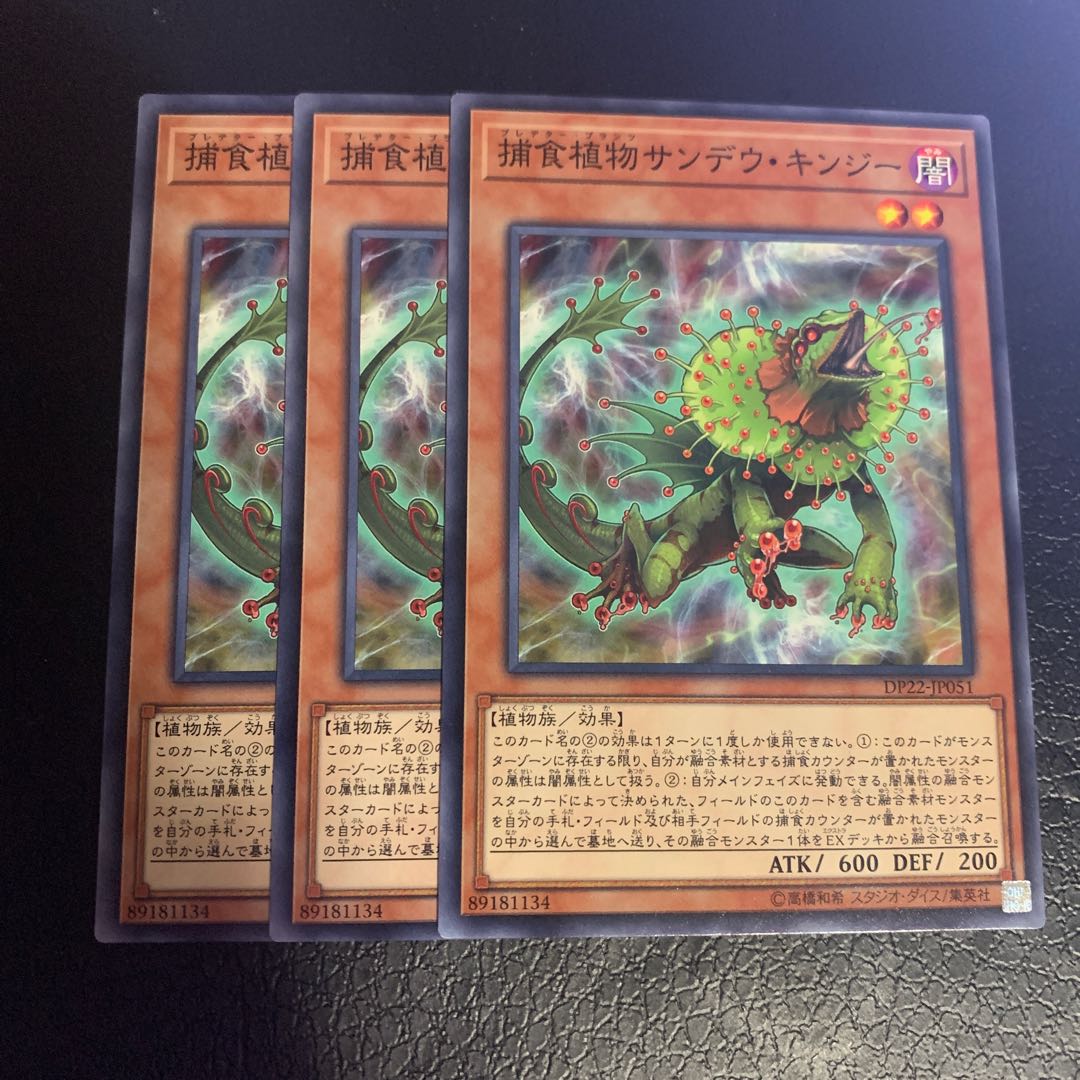 Predaplant Chlamydosundew Normal