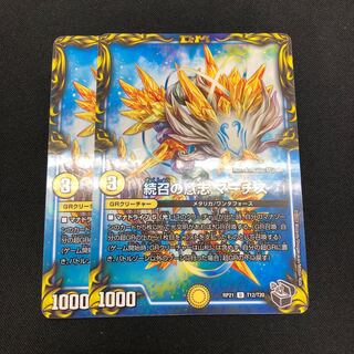 Will of Continued Calling MARCHIS 2 pieces