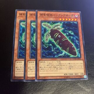 Yu-Gi-Oh Predaplant Banksiogre