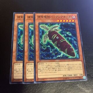 Predaplant Banksiogre