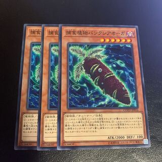 Predaplant Banksiogre