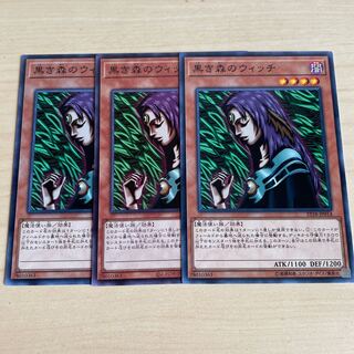 Witch of the Black Forest♧955