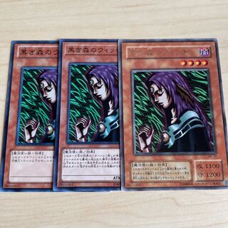 Witch of the Black Forest♧973