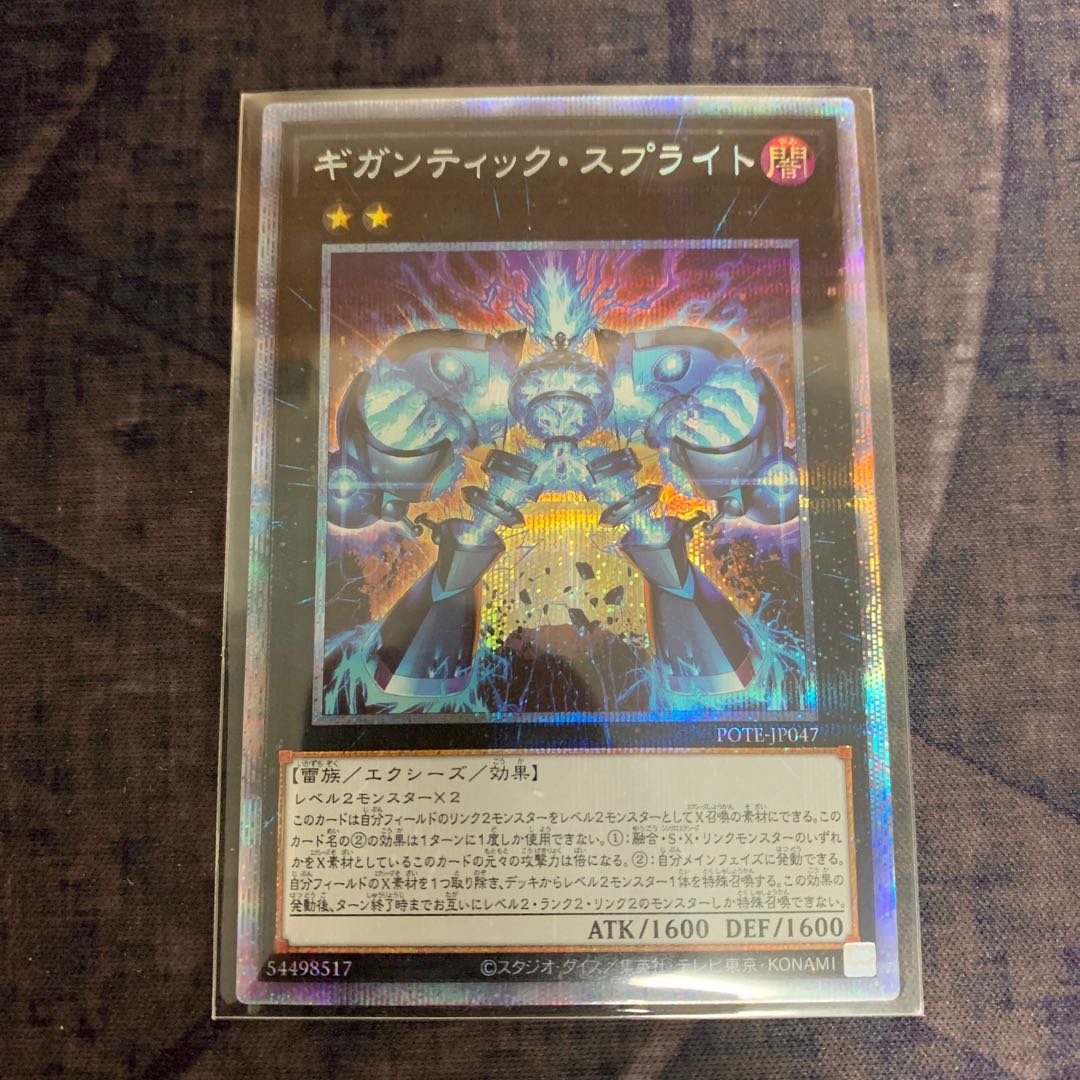 gigantic sprite (Chromis gigantea)