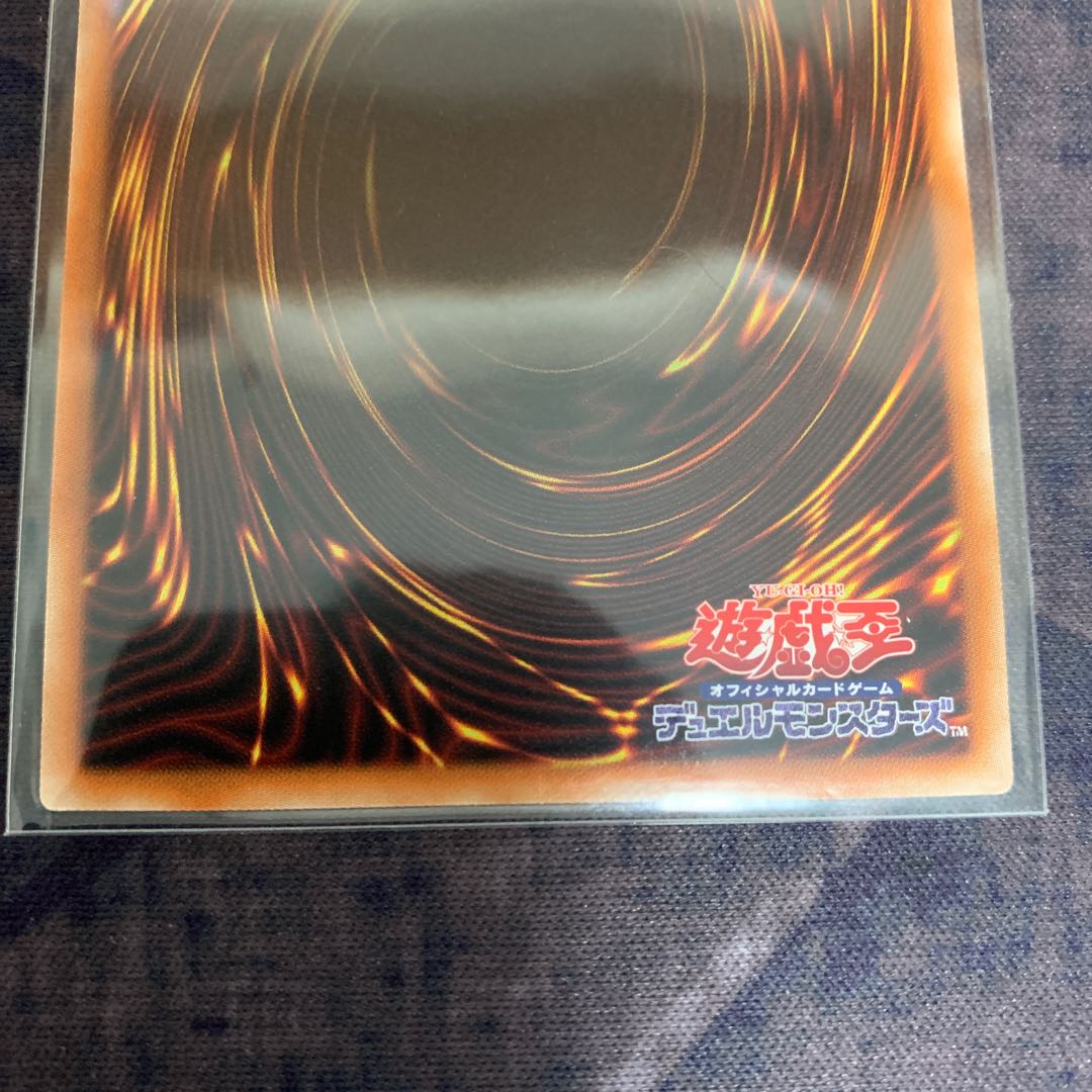 gigantic sprite (Chromis gigantea)