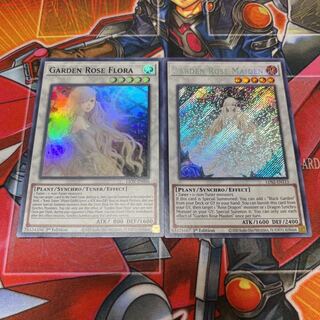 Yu-Gi-Oh [English Version] Garden Rose Maiden & Flora Set