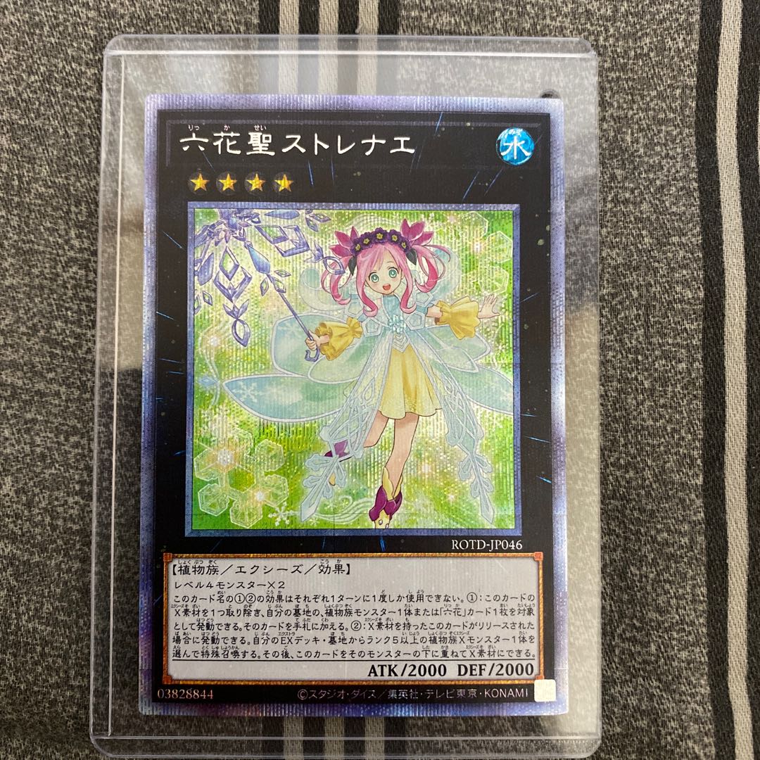 プレゼント企画!!〆切!! 1枚