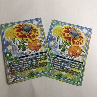 マリゴルドⅢ×2