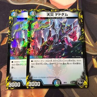 Natural Disaster Dedham Black Treasure