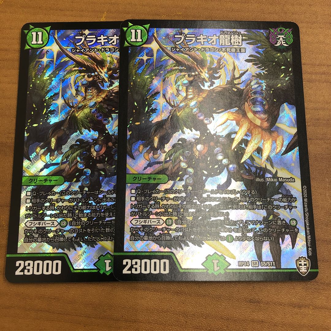 Brachio Ryuju 2 sheets