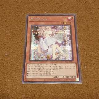 確認用遊戯王 灰流うらら 絵違い プリズマティックシークレットレア