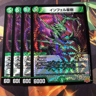 Infelix star tree (species of sedge, Infelix infertilis)