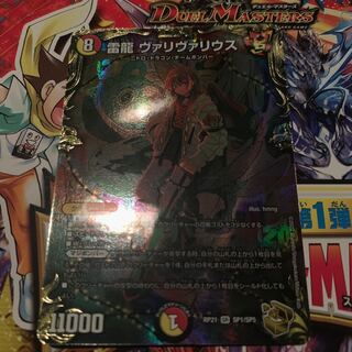 雷龍 ヴァリヴァリウス