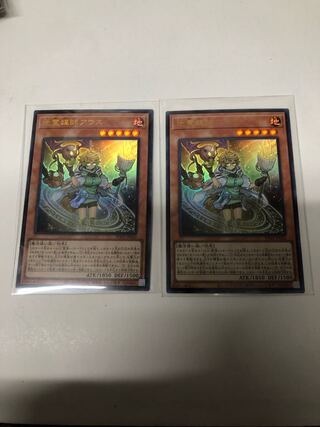 地霊媒師アウス2枚セット