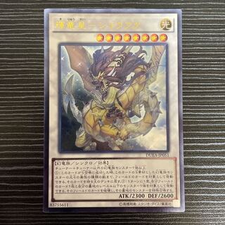 輝竜星-ショウフク　レリーフ