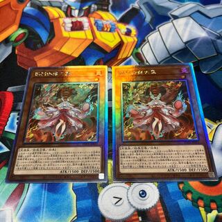 Kutsura Tendo Hollow, set of 2