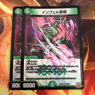 Infelix star tree (species of sedge, Infelix infertilis)