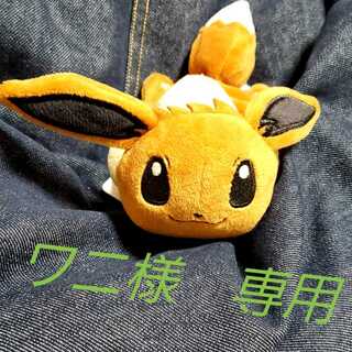 ワニ様専用　ハプウ　3枚セット