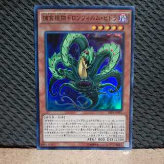 【ぽぽたん】遊戯王 -254 捕食植物ドロソフィルム・ヒドラ スーパー