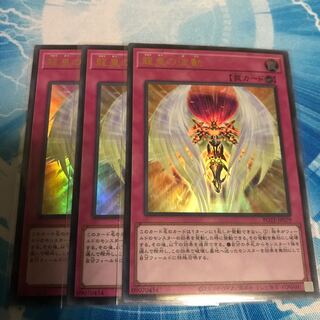 龍皇の波動 3枚