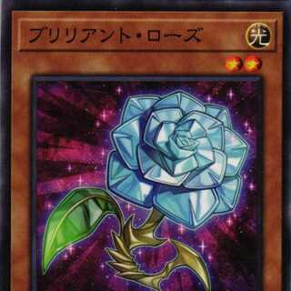 POTE-JP021 Brilliant Rose 3 cards