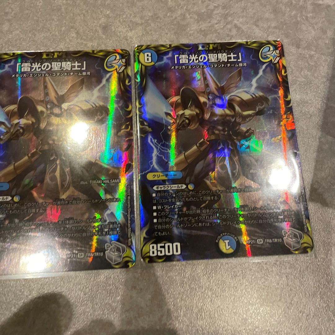 2 copies of "Holy Knight of Lightning